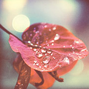 短信验证码轰炸卡盟免费